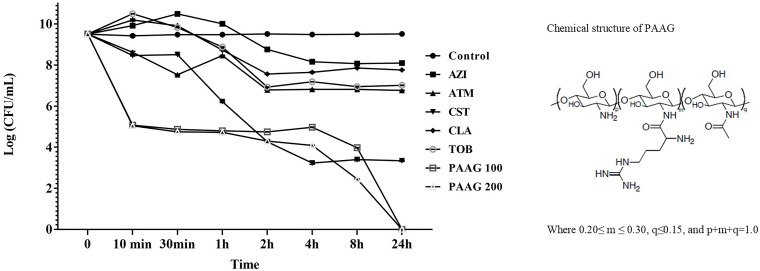 FIGURE 1