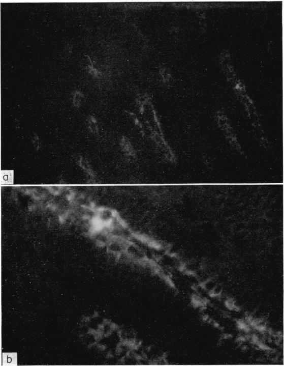 FIG. 8