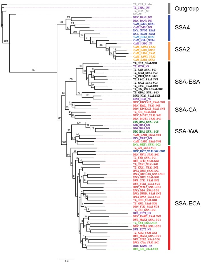 Fig. 2.