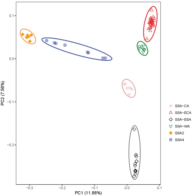 Fig. 4.