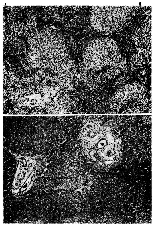 Fig. 13