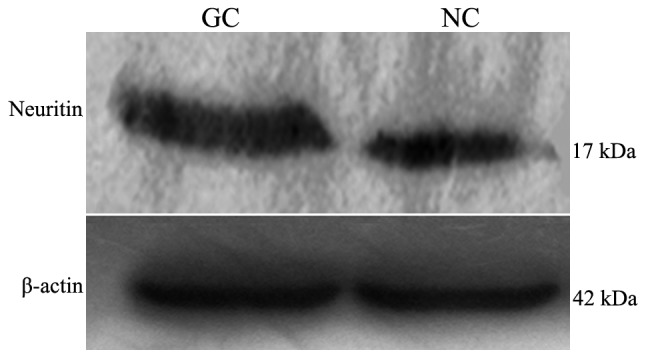 Figure 5.