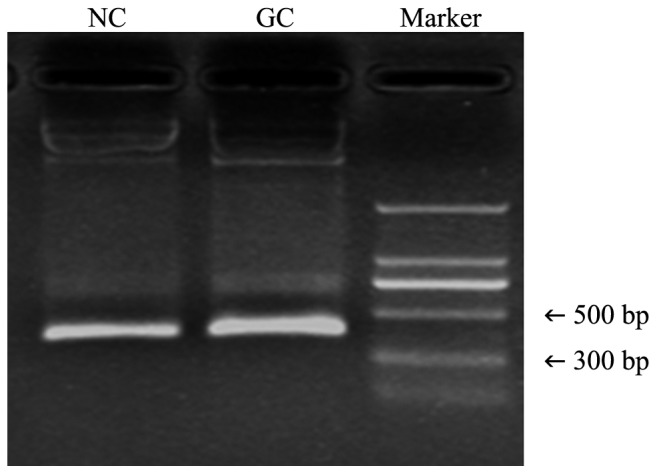 Figure 4.