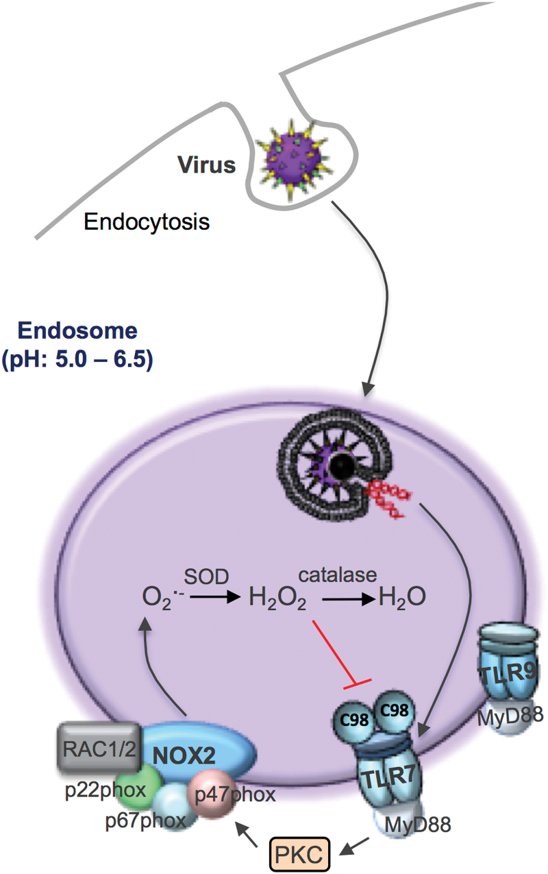 FIG. 3.