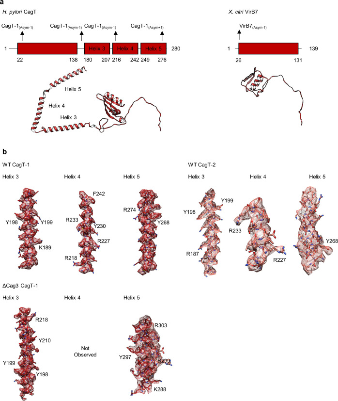 Figure 4—figure supplement 2.