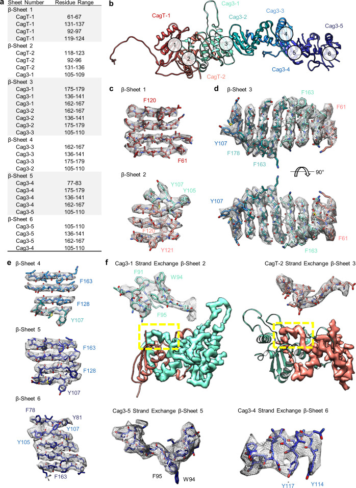 Figure 6—figure supplement 1.