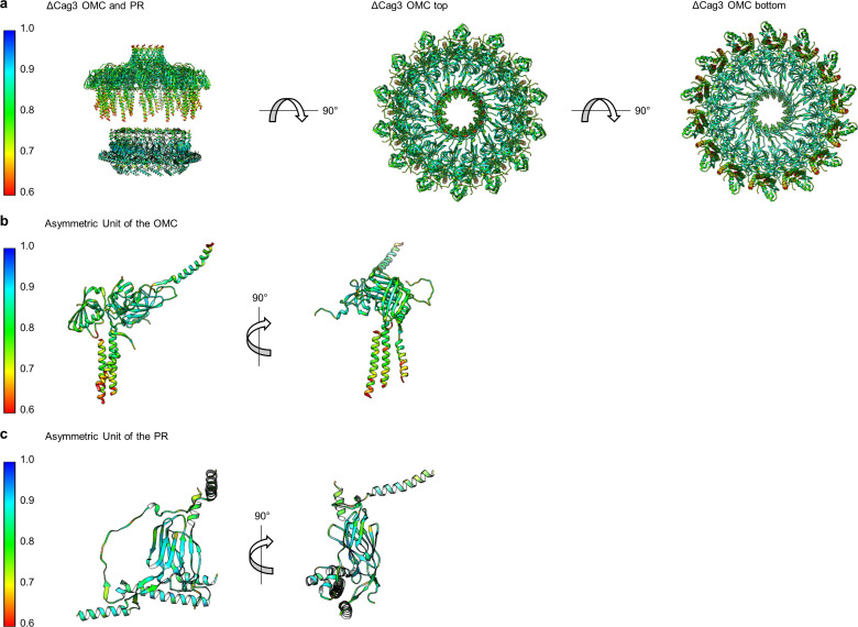 Figure 2—figure supplement 2.