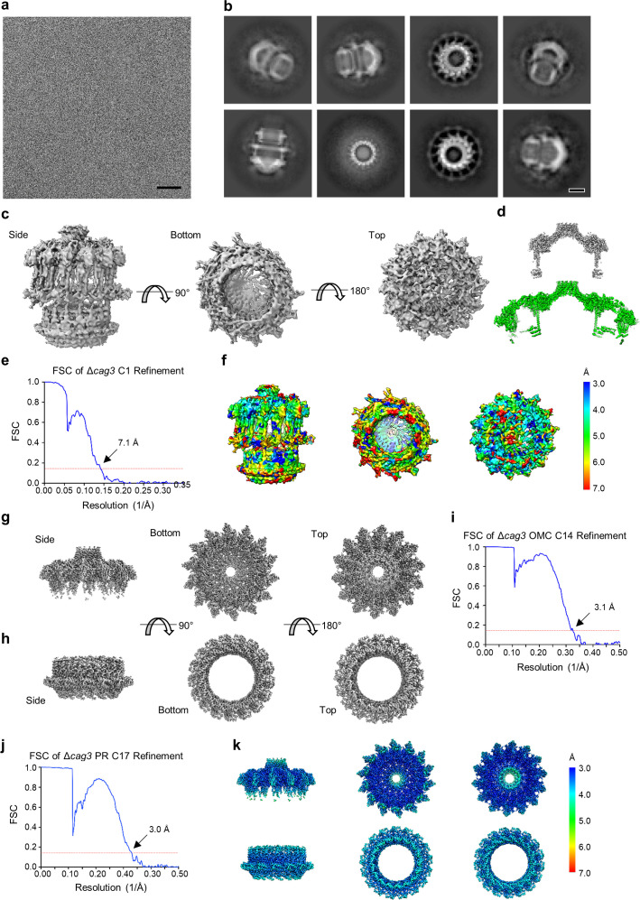 Figure 1—figure supplement 2.