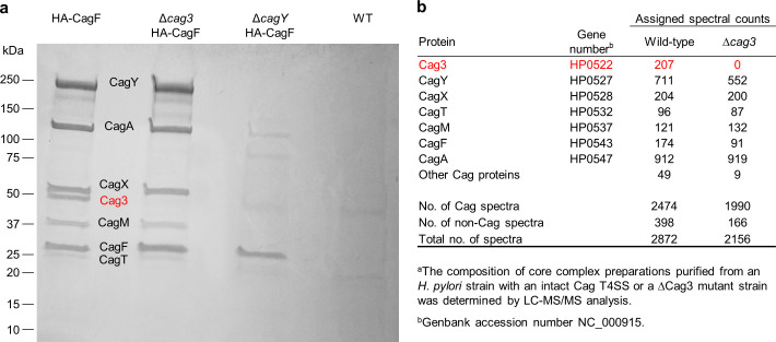 Figure 1—figure supplement 4.