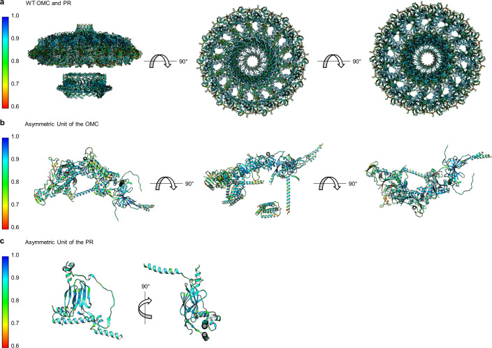 Figure 2—figure supplement 1.