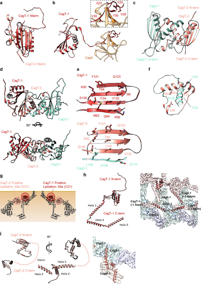 Figure 4.