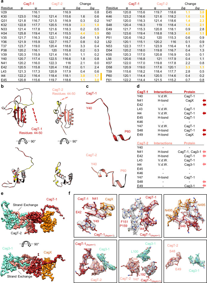 Figure 4—figure supplement 1.