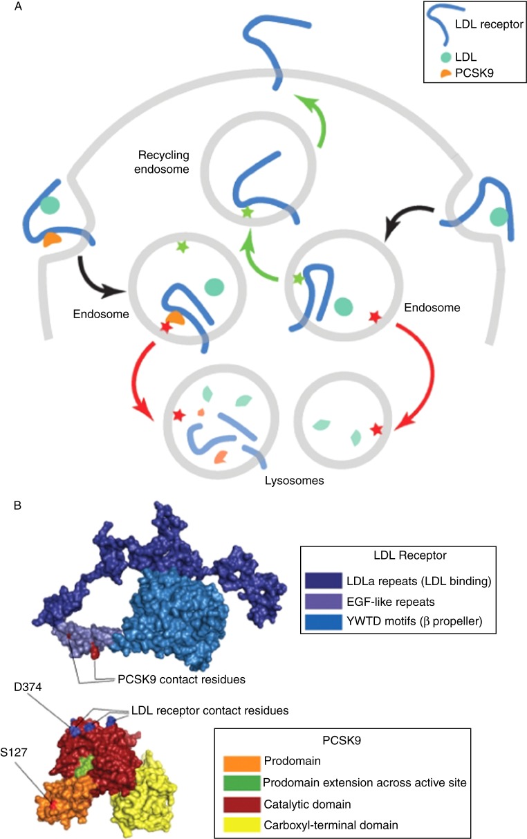 Figure 5.