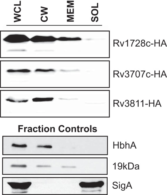 FIG 3 