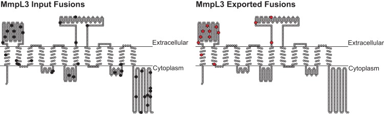 FIG 4 