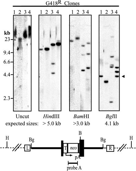 FIG. 4.