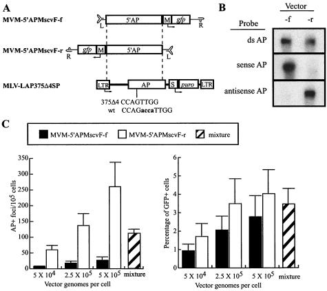 FIG. 8.