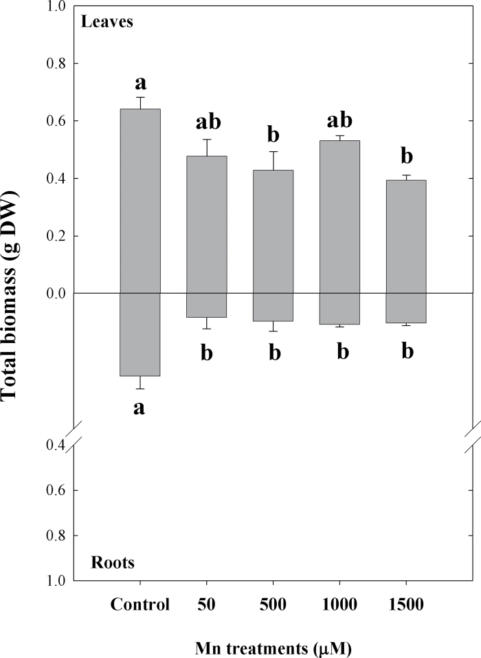 Fig. 1. 