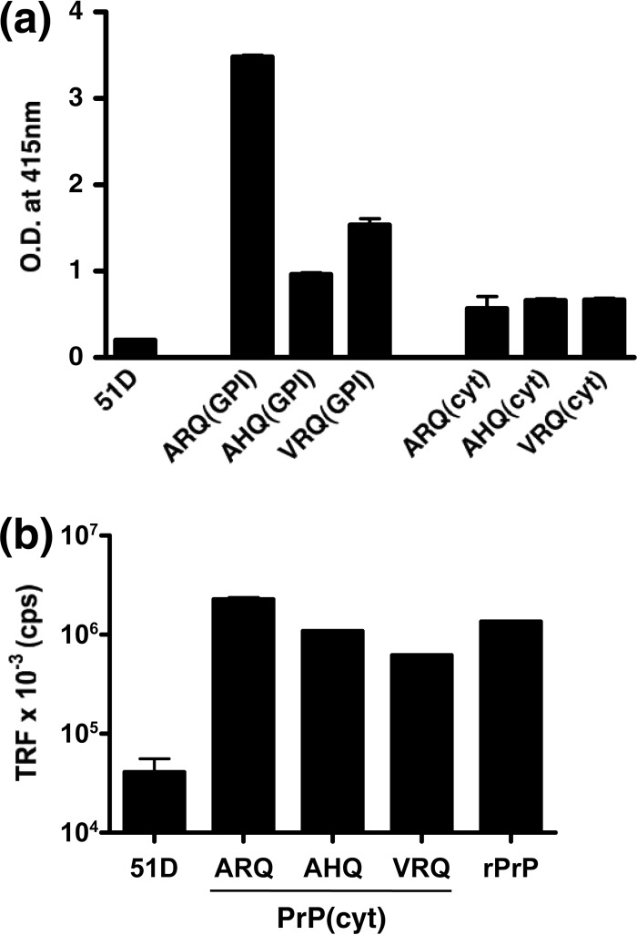 FIG 2