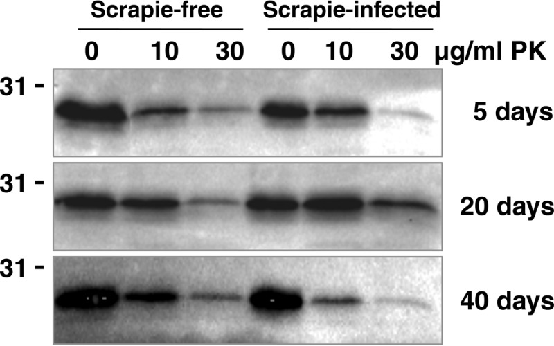 FIG 6