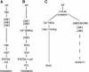 Figure 11.