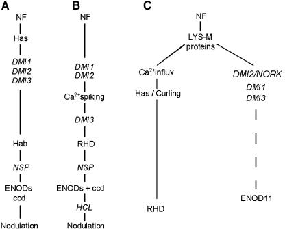 Figure 11.