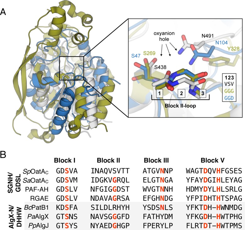 Fig 6