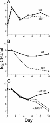 FIG. 1.