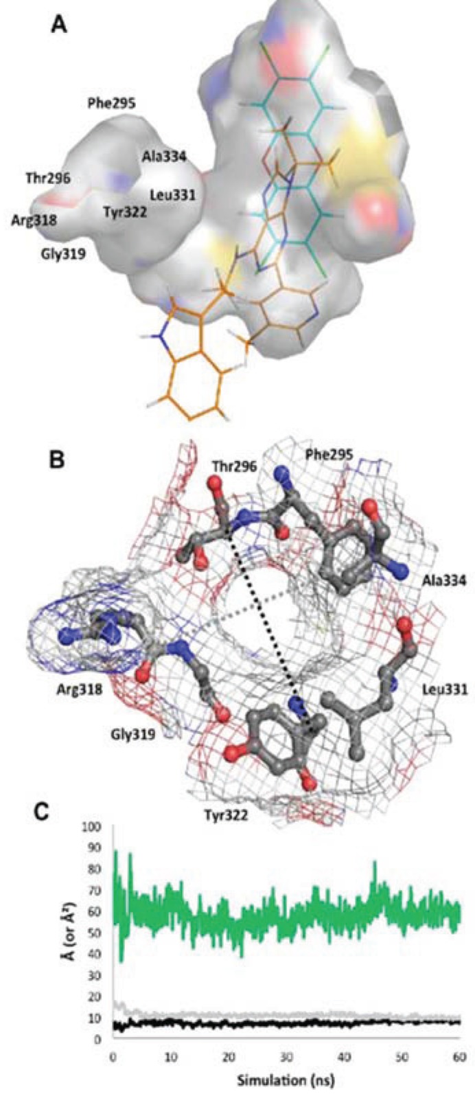 Figure 10