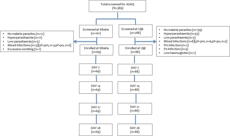 Fig. 2