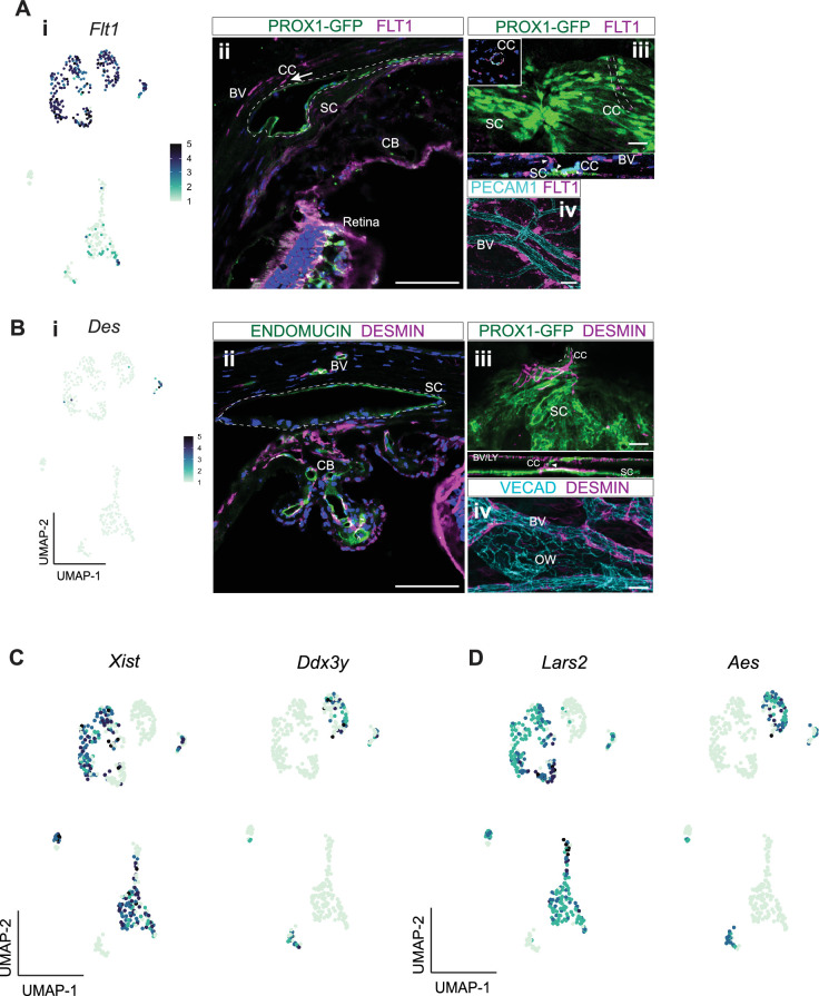 Figure 5—figure supplement 2.