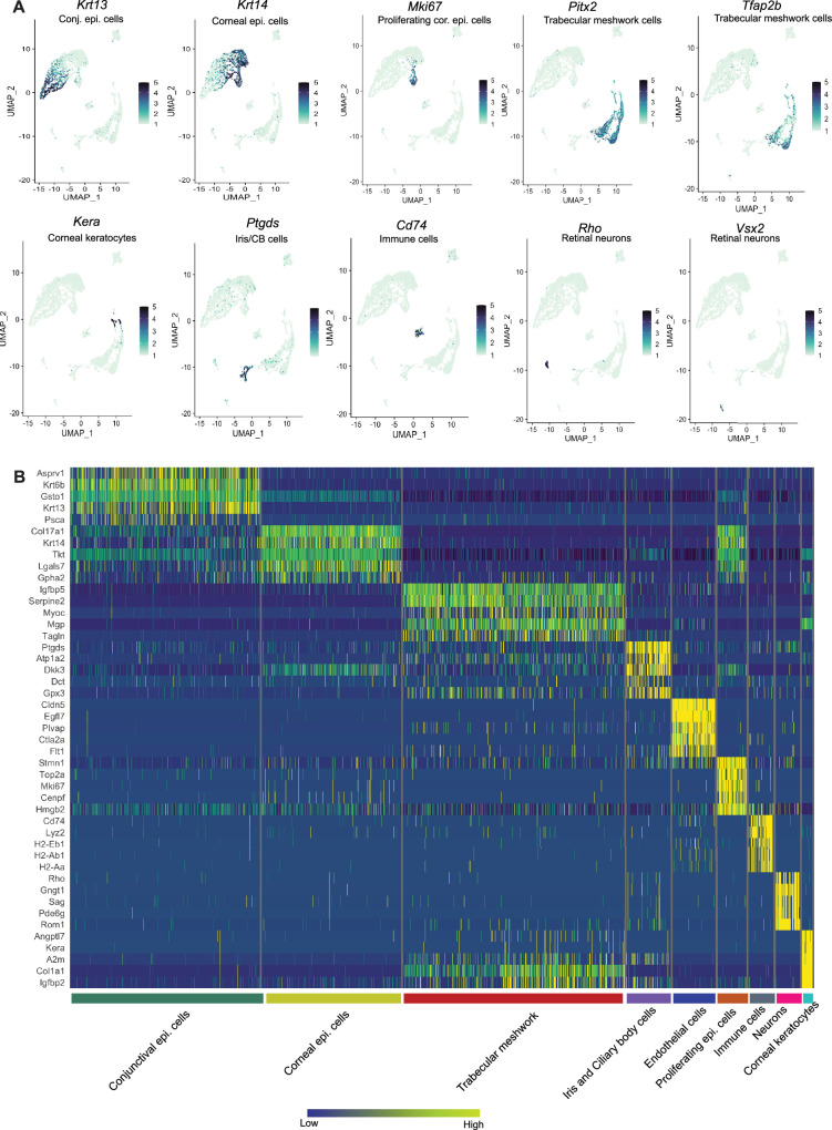 Figure 2—figure supplement 1.