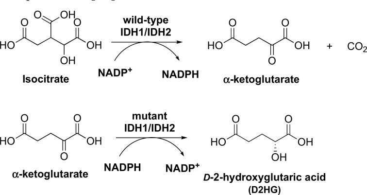 Fig. (5)