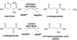 Fig. (5)