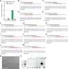 Figure 1—figure supplement 2.
