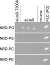 FIG. 6.