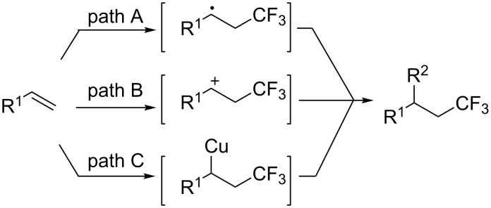 Scheme 2