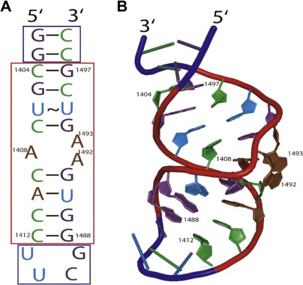 Fig.1