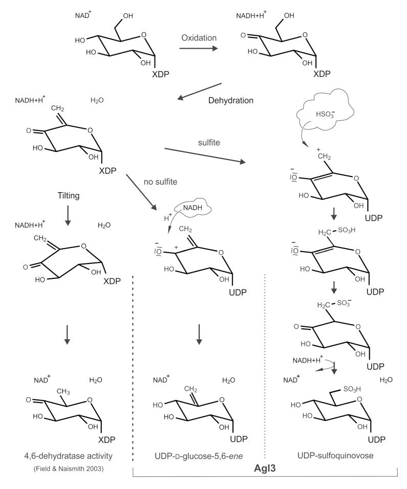 Fig. 9