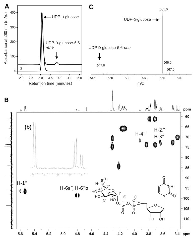 Fig. 4