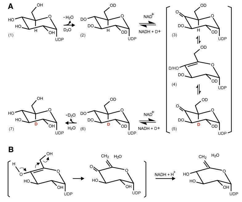 Fig. 8