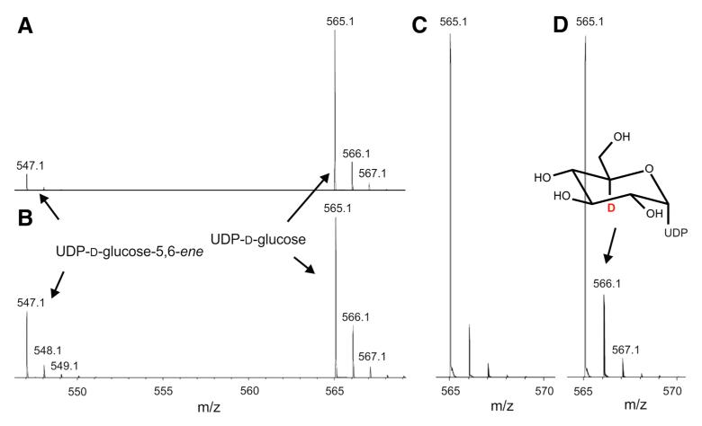 Fig. 7