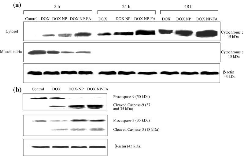 Fig. 9