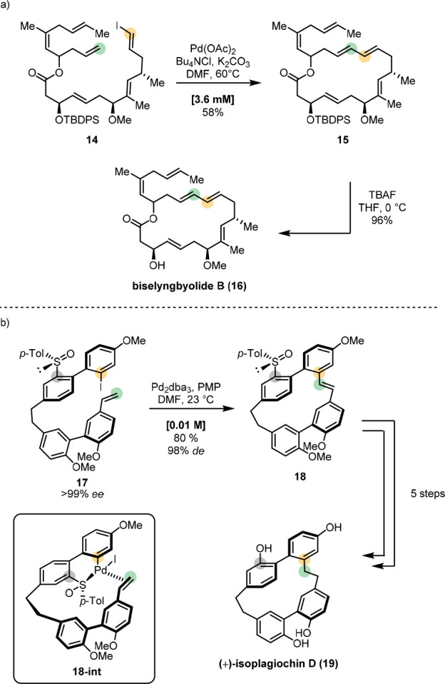 Scheme 5