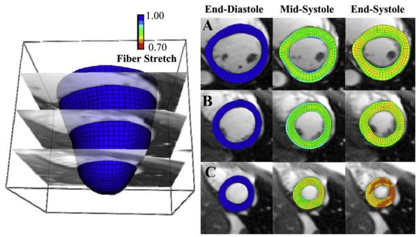 Fig. 7