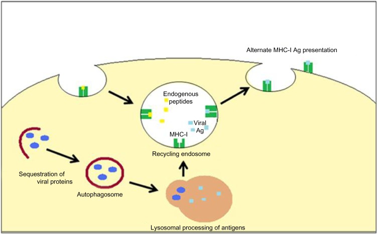 Figure 6: