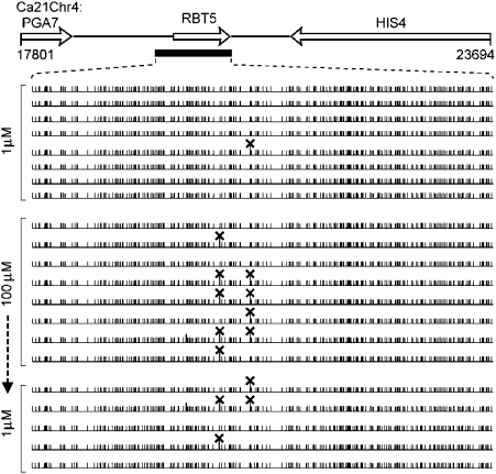 Fig. 4.