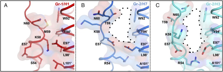 Fig. 7.