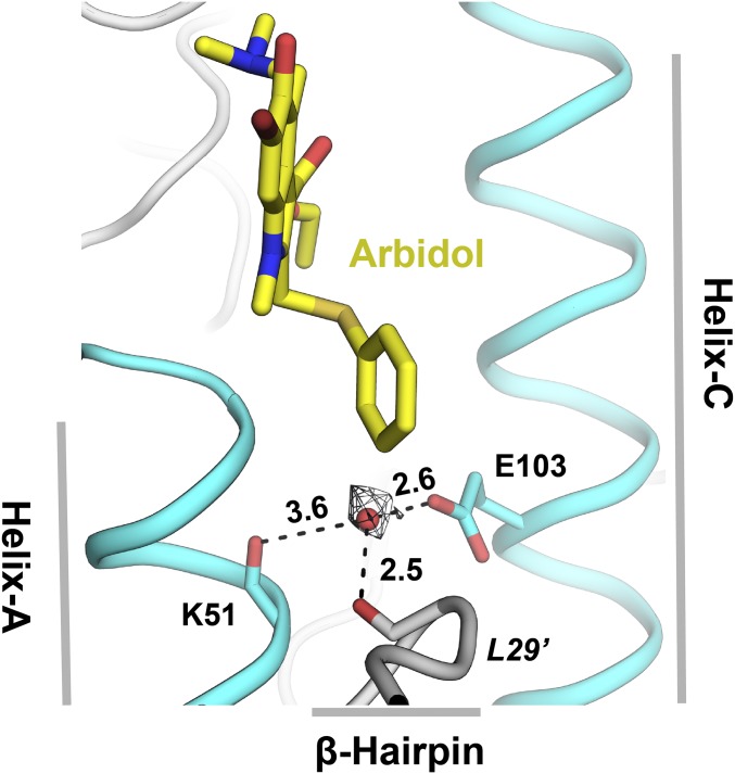 Fig. S5.