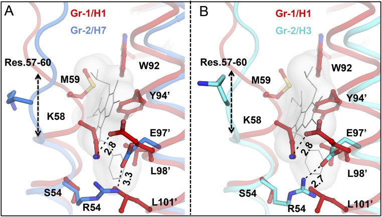 Fig. S4.